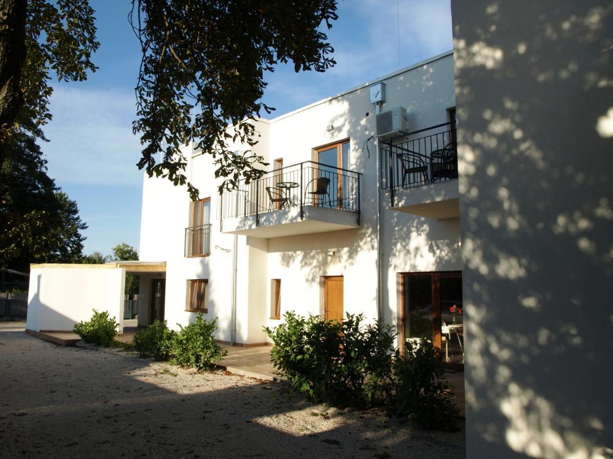 Garden Club Panzio Bed & Breakfast Balatonmariafurdo Luaran gambar