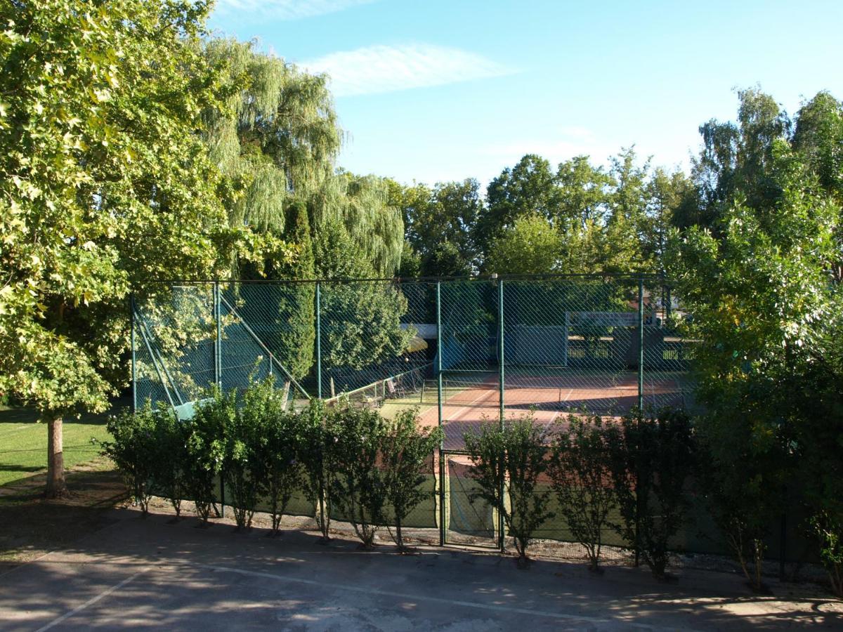 Garden Club Panzio Bed & Breakfast Balatonmariafurdo Luaran gambar