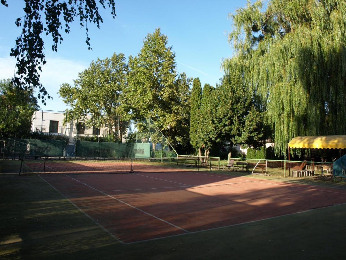 Garden Club Panzio Bed & Breakfast Balatonmariafurdo Luaran gambar